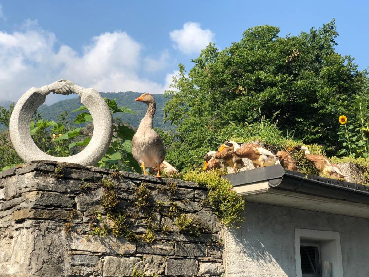 Ostello & Camping Riposo Hotel Losone Bagian luar foto